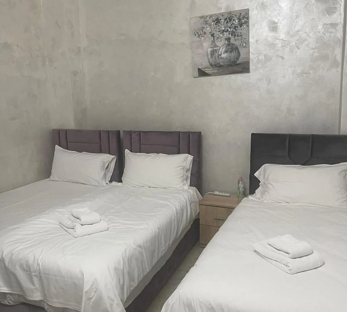 Guest house Affittacamere Bibiena Nel Cuore Di Bologna Italy