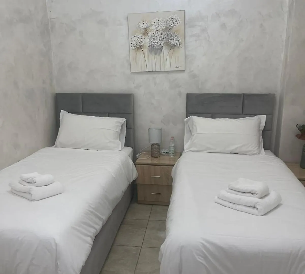 Guest house Affittacamere Bibiena Nel Cuore Di Bologna